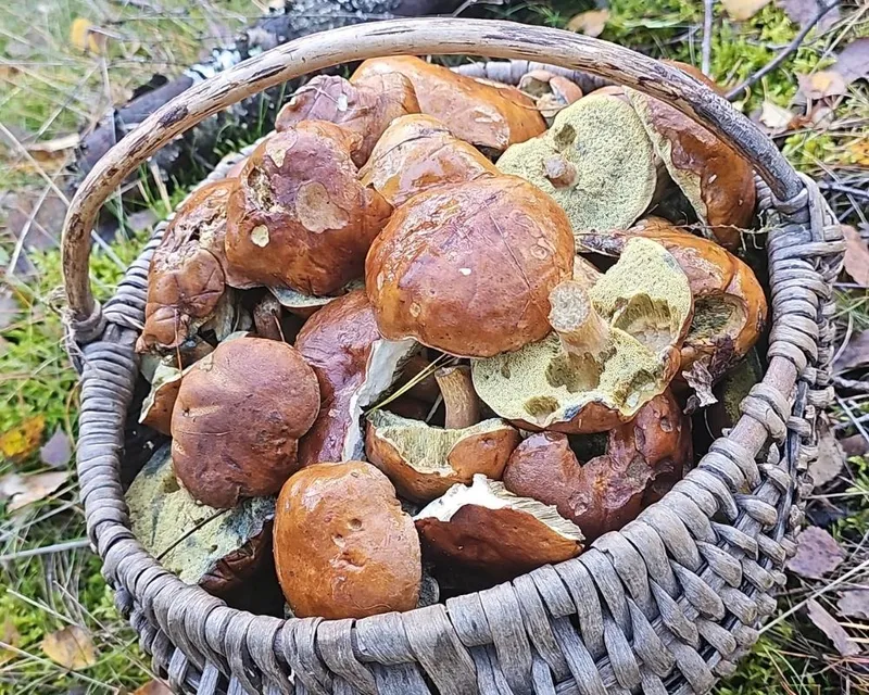 Manufacturing floor with precision equipment